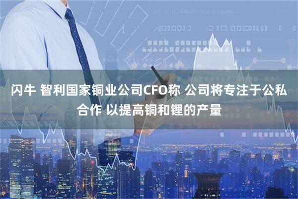 闪牛 智利国家铜业公司CFO称 公司将专注于公私合作 以提高铜和锂的产量