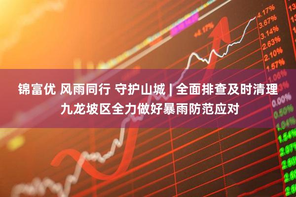 锦富优 风雨同行 守护山城 | 全面排查及时清理 九龙坡区全力做好暴雨防范应对